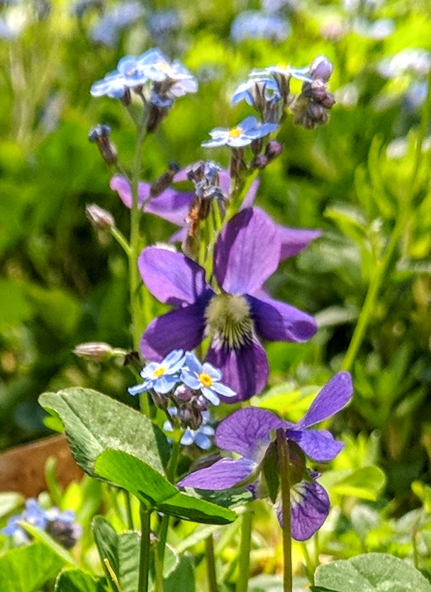 Maker:0x4c,Date:2017-11-28,Ver:4,Lens:Kan03,Act:Lar01,E-Y