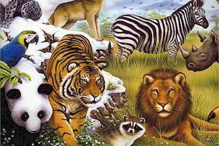 Zoo-Animals-Wallpaper-1